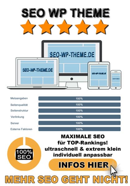 SEO WP Theme
